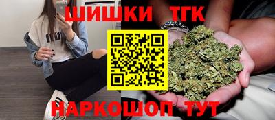 шишки Славгород